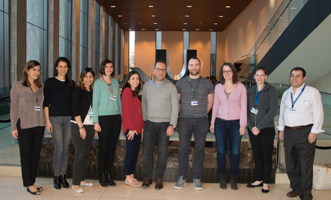 Mount Sinai — Icahn School of Medicine Team